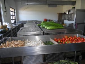 Various Types of Diets Given Free of Cost to Patients in Government Hospitals in Tamil Nadu