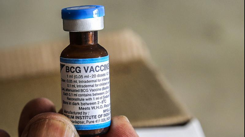 BCG (Bacille Calmette-Guerin) Vaccine Trial.  FAQ (Frequently Asked Questions)