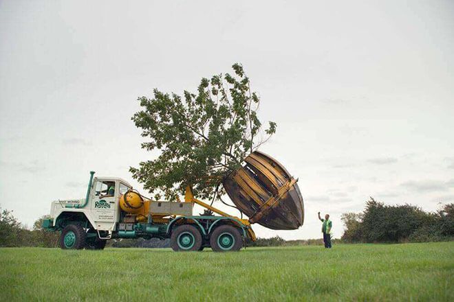 Monocot, Fibrous Root, Tree Transportation, சல்லிவேர்கள் ஆணிவேர்கள்