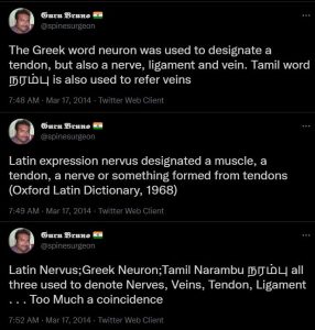 Bruno's Tweet on Nerve Vein Artery